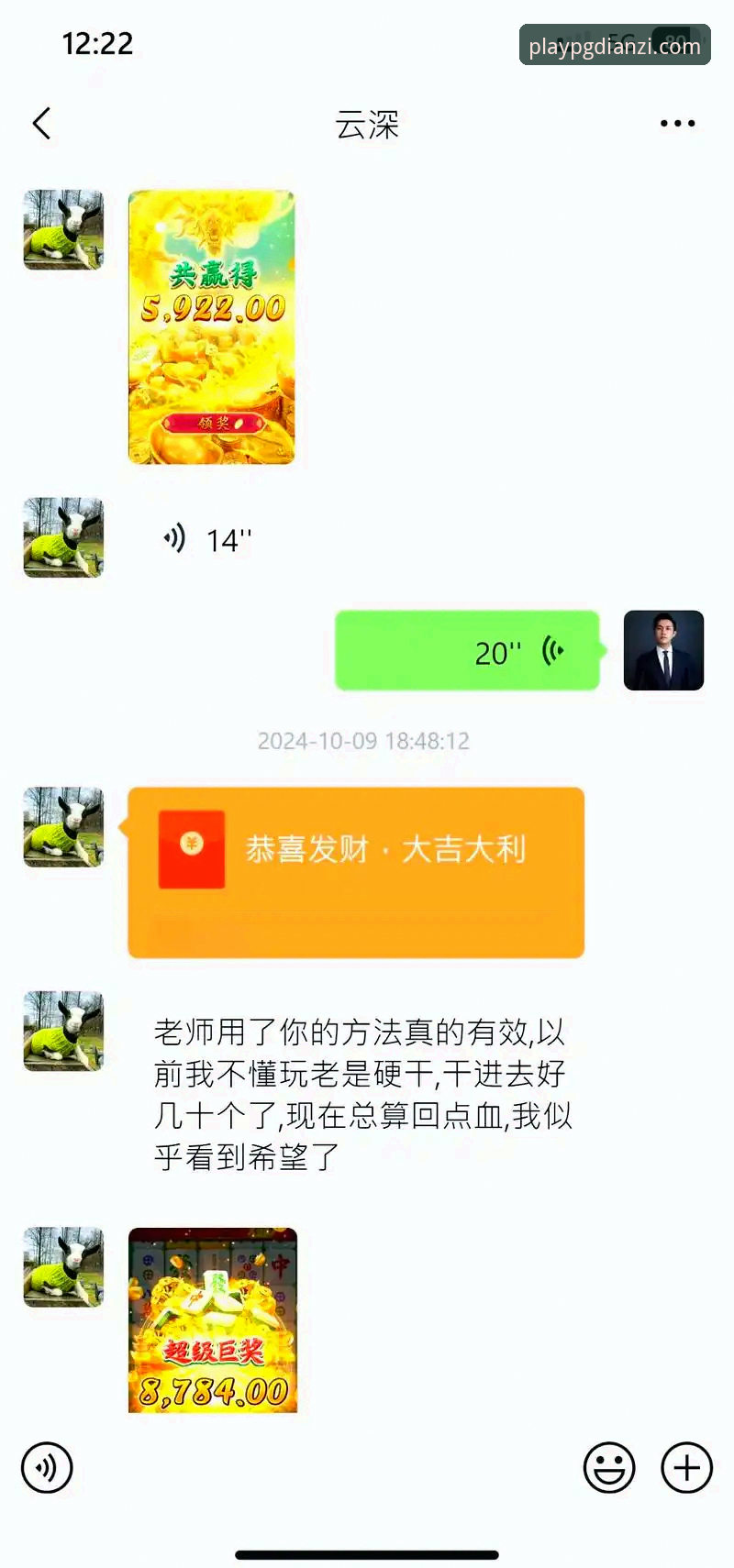 PGDIANZI官方入口评测与安全使用教程：从下载到畅玩的完整指南